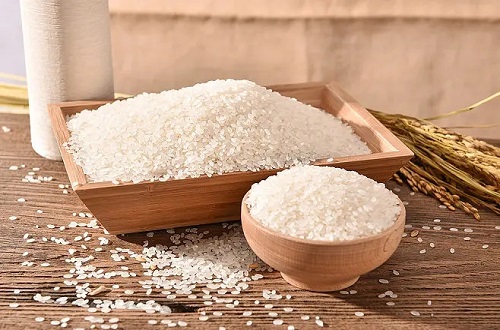 大米是怎么种植出来的？