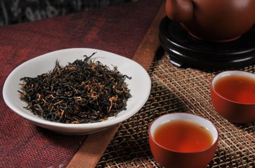 祁门红茶百年制茶秘诀的保存与研究
